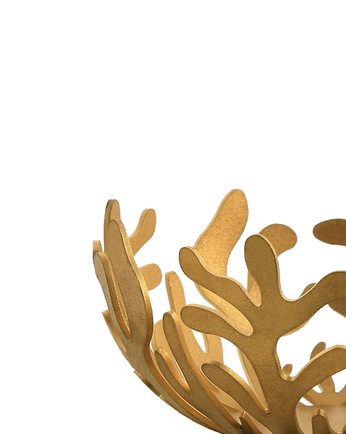 Mediterraneo cm 21 || inch 8¼″ Fruit holder Alessi 2