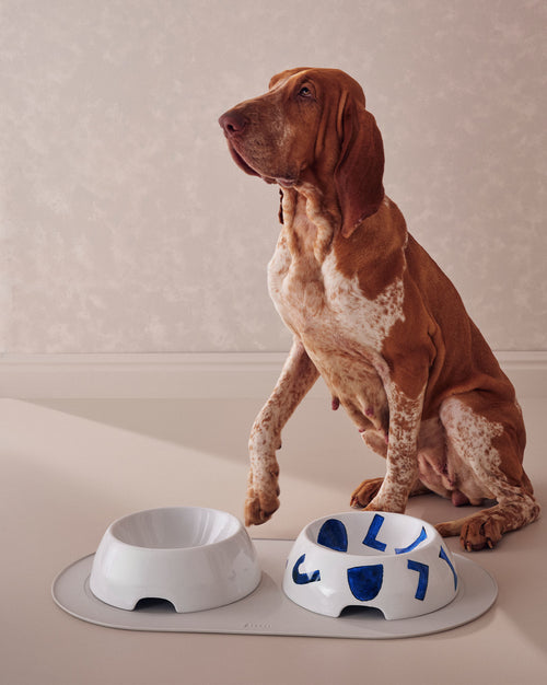 Itsumo pet Yunoki ware S Dog bowl Alessi 2