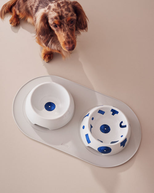 Itsumo pet Yunoki ware S Dog bowl Alessi 1