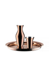 Kuru Kuru stainless steel Tray Alessi 3