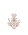 The Five Seasons Default Title Fragrance diffuser leaves. Grrr Alessi