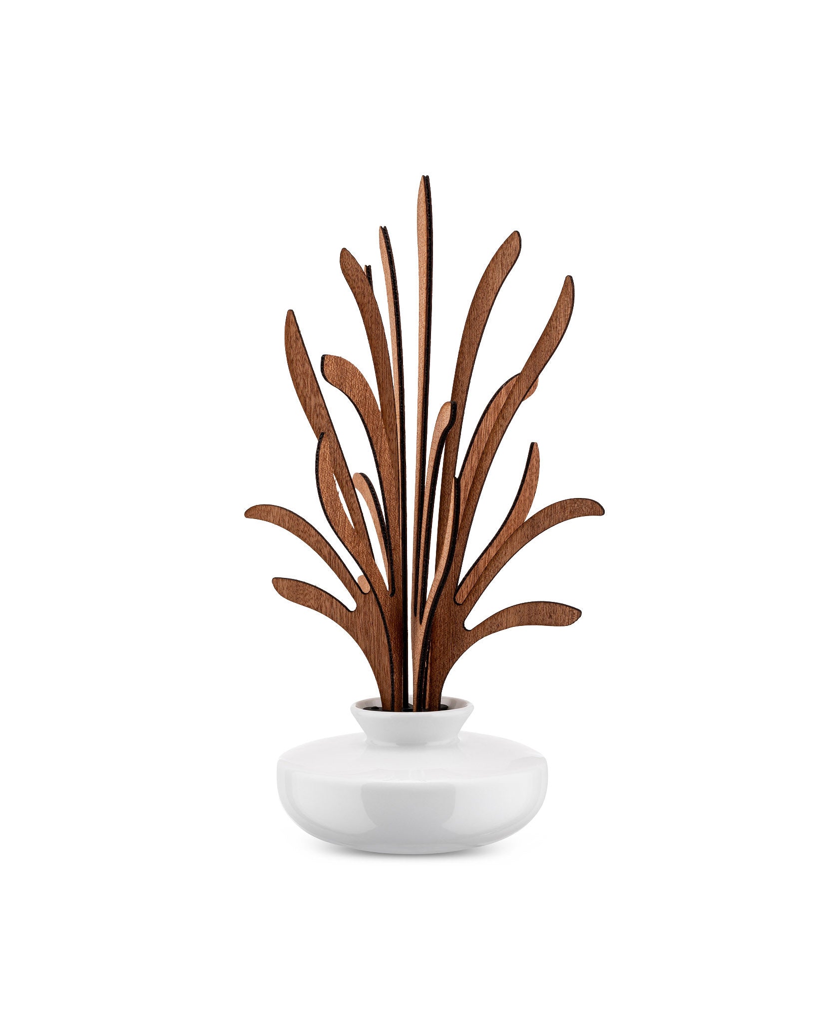 Alessi Reed Diffuser Home Fragrances & Decorative Diffusers | Alessi Spa (UK)