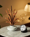 The Five Seasons Default Title Fragrance diffuser leaves. Grrr Alessi 1